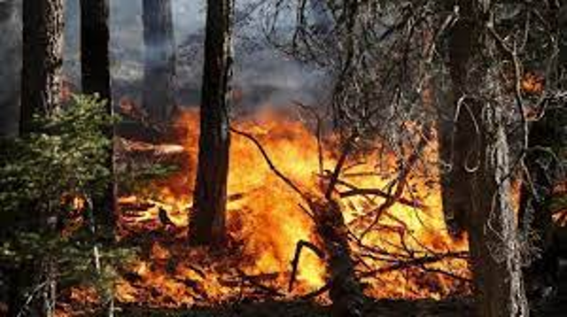 REVOCA stato di massima pericolosità per gli incendi boschivi